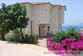 Listing #763